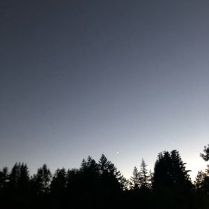 Meet your Posher, Chloe